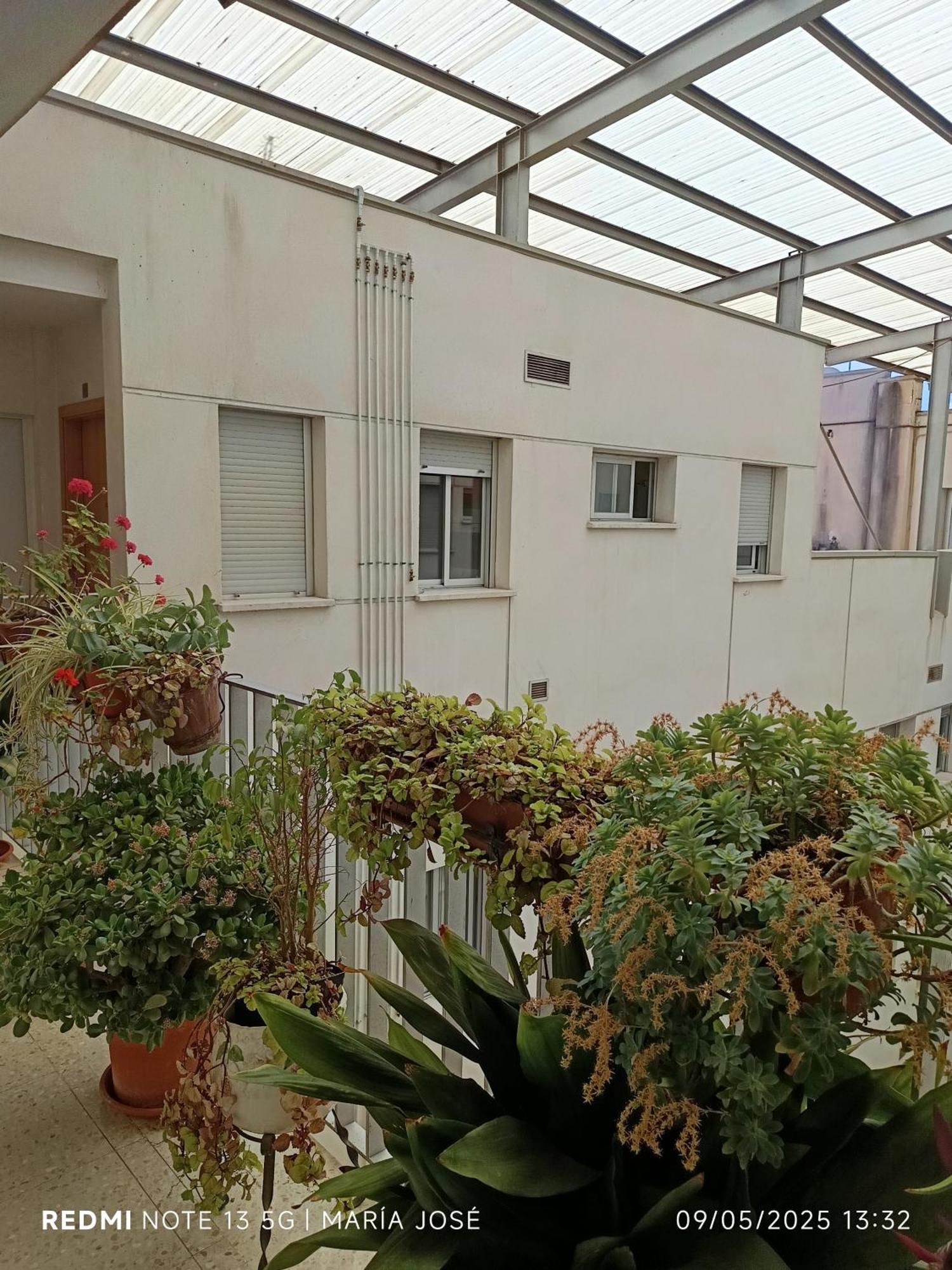 Disfruta Granada,Incluso Con Tu Mascota Parking Apartment Exterior photo